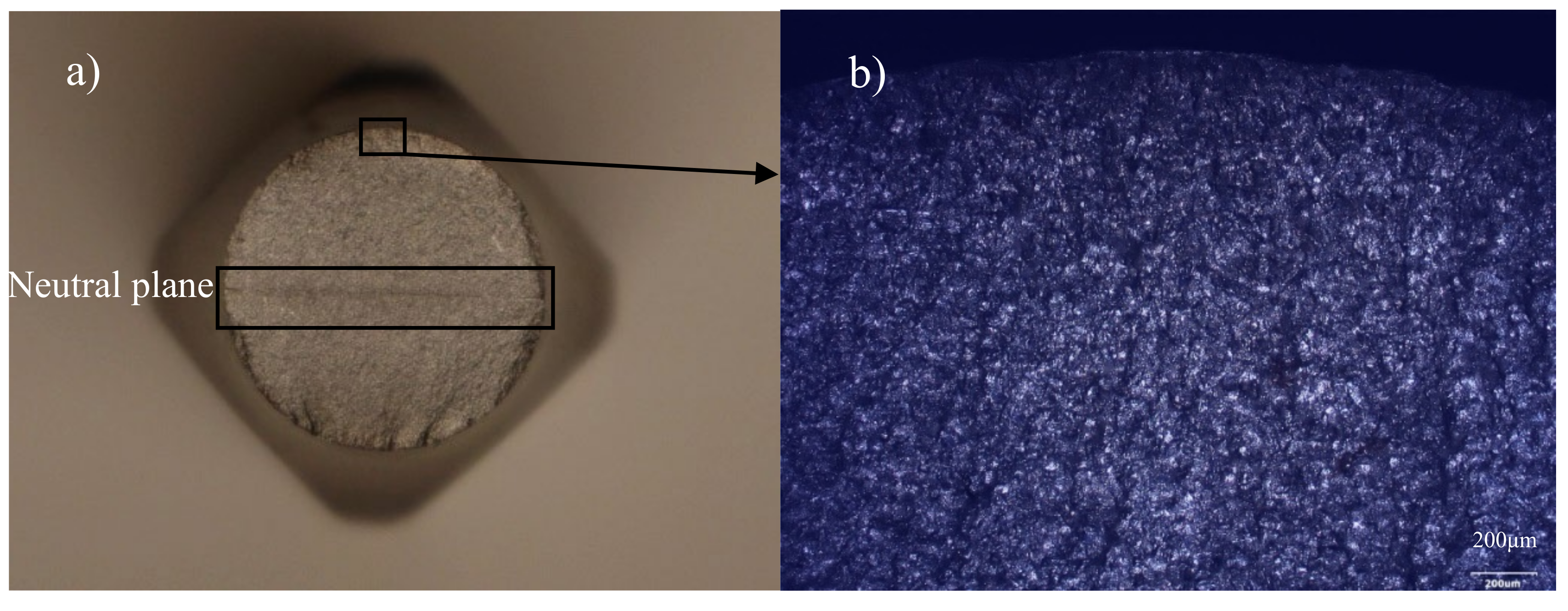 Materials 13 01197 g005