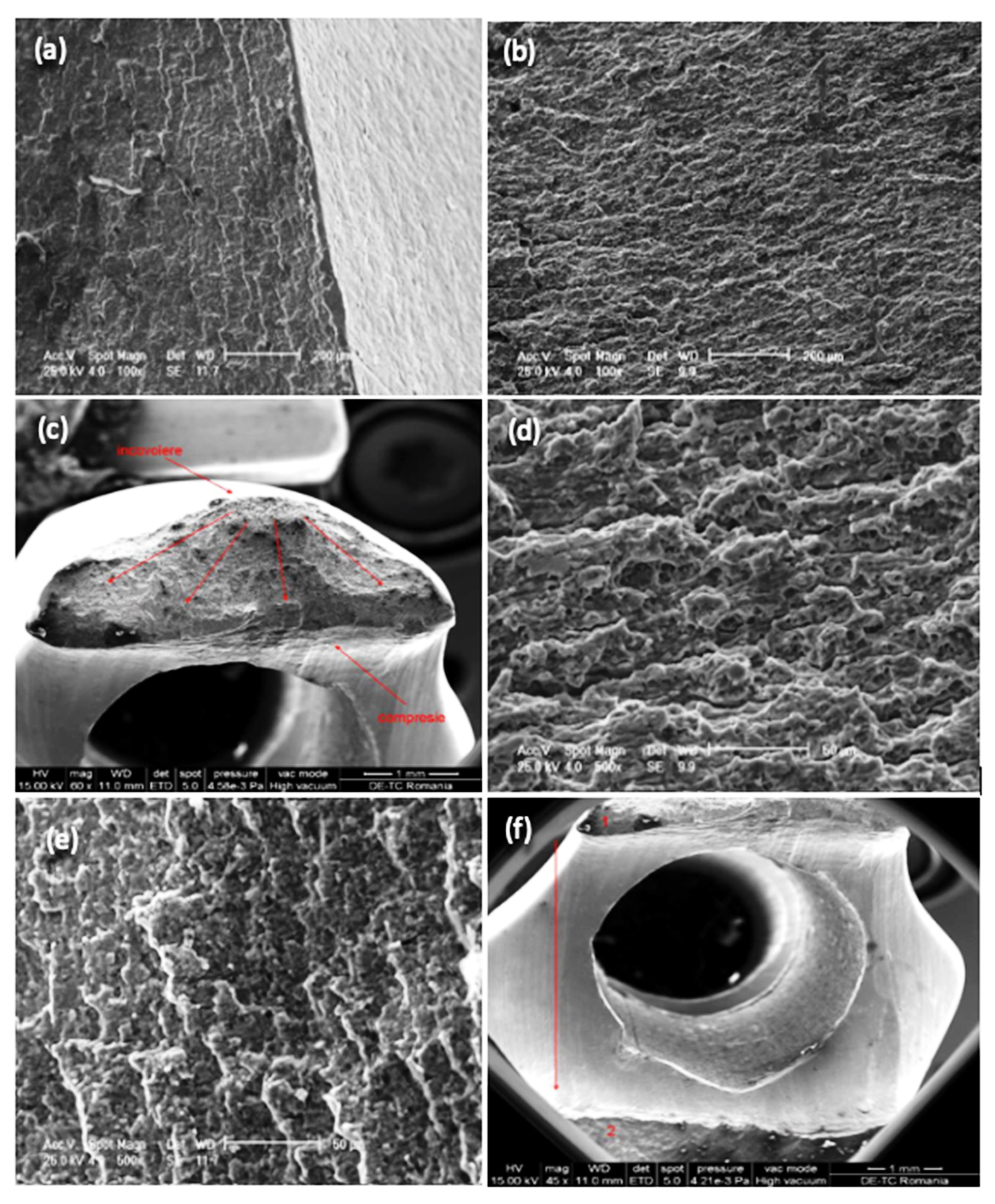 Materials 13 01201 g005