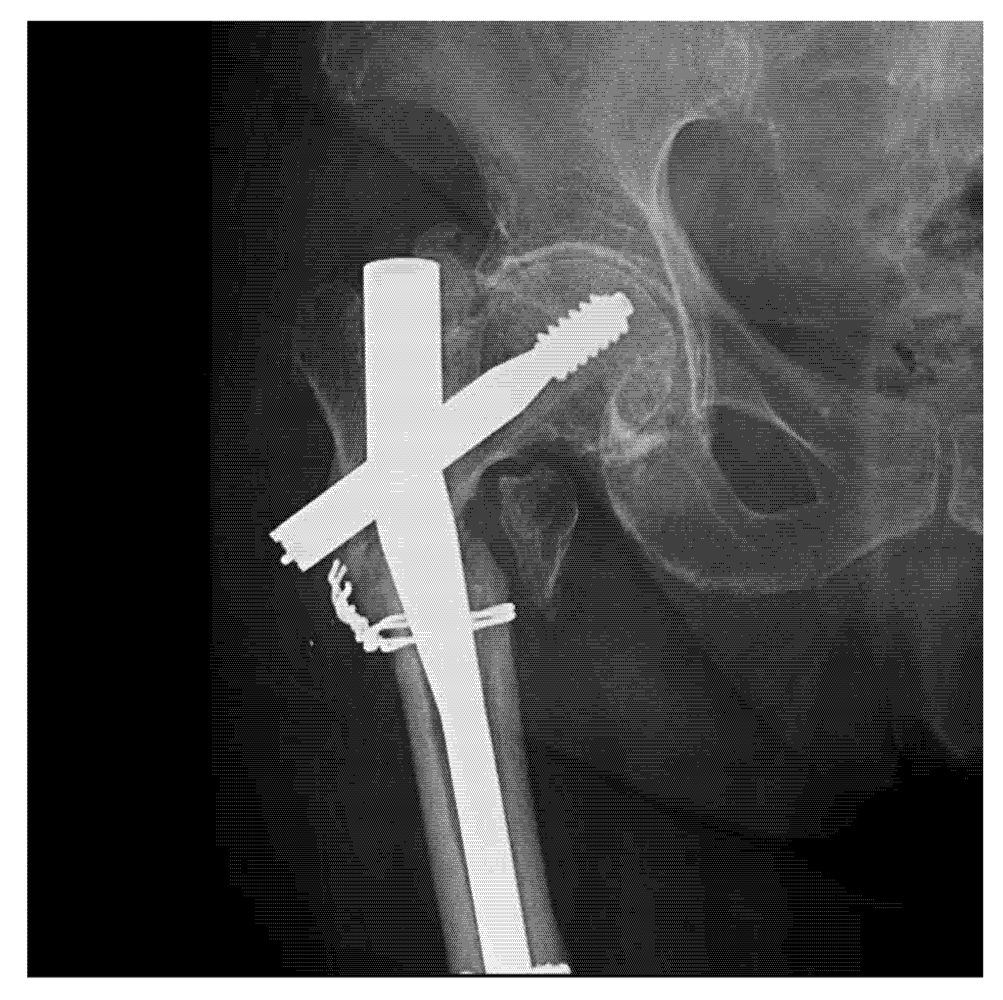 Materials 13 01201 g006