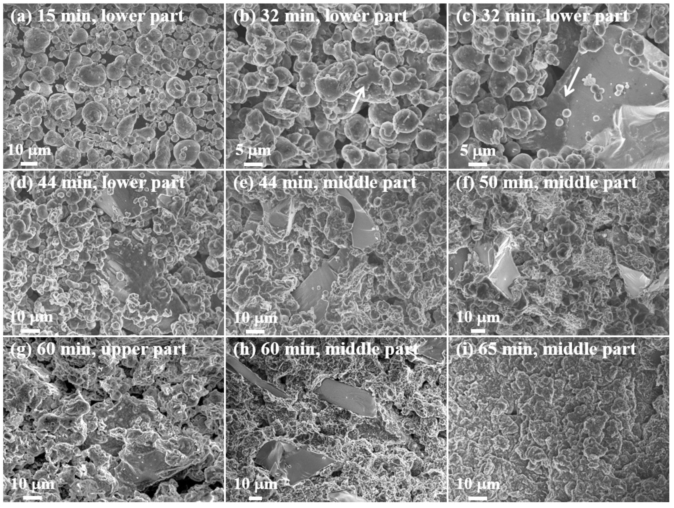 Materials 13 01213 g005