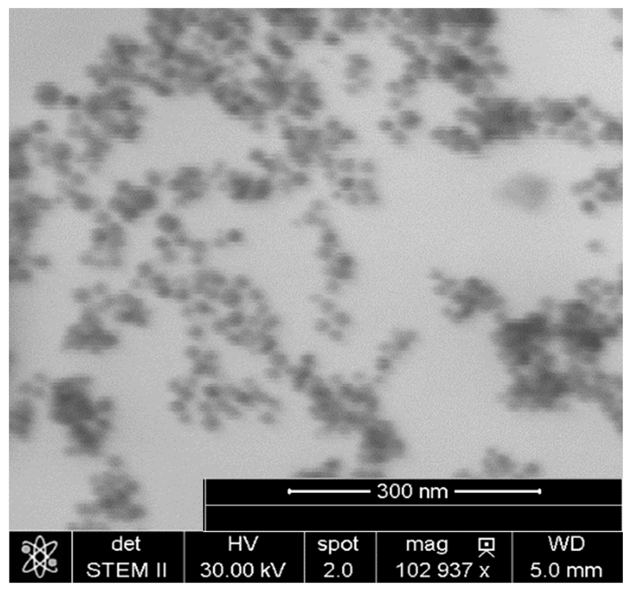 Materials 13 01219 g002