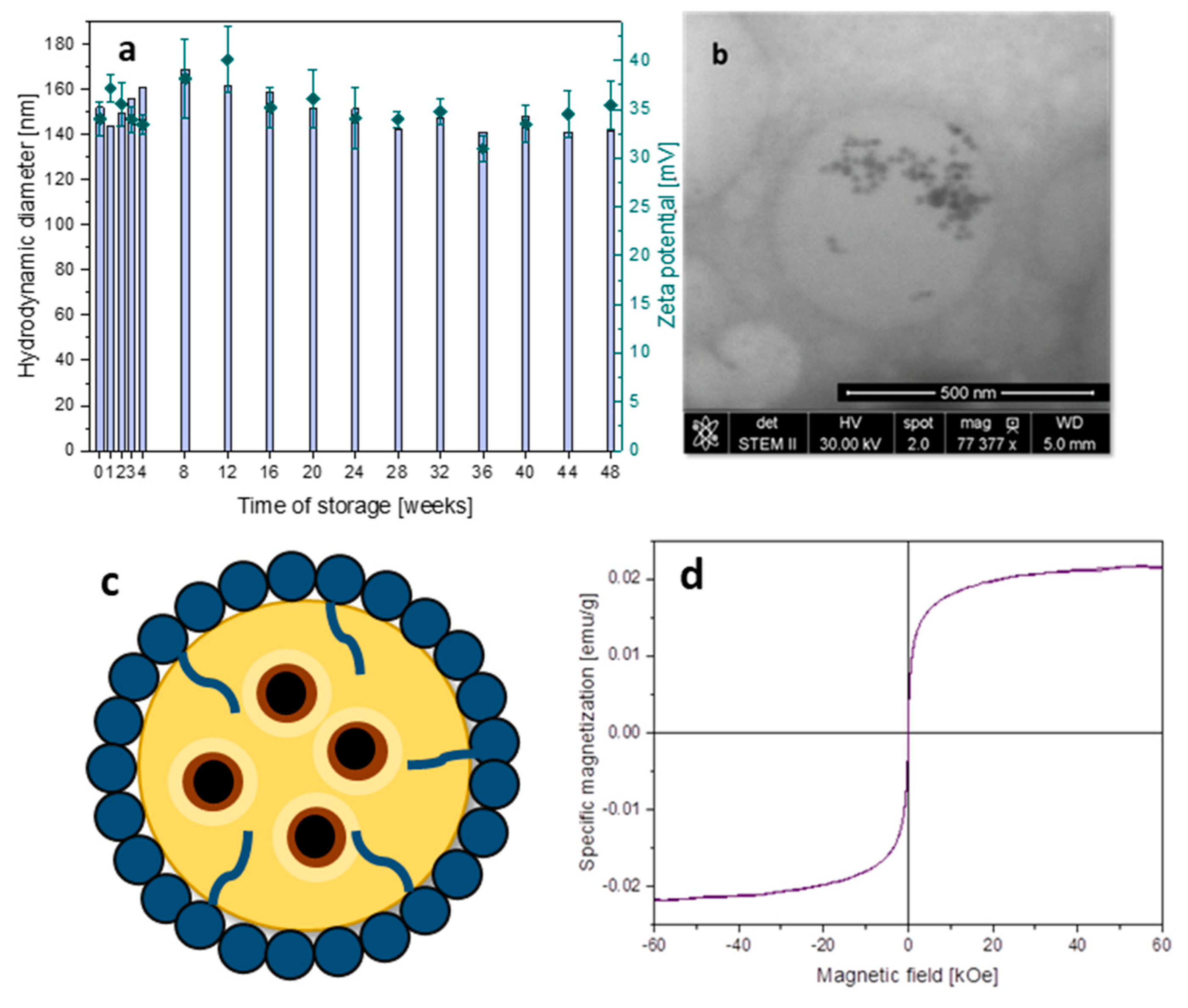 Materials 13 01219 g006
