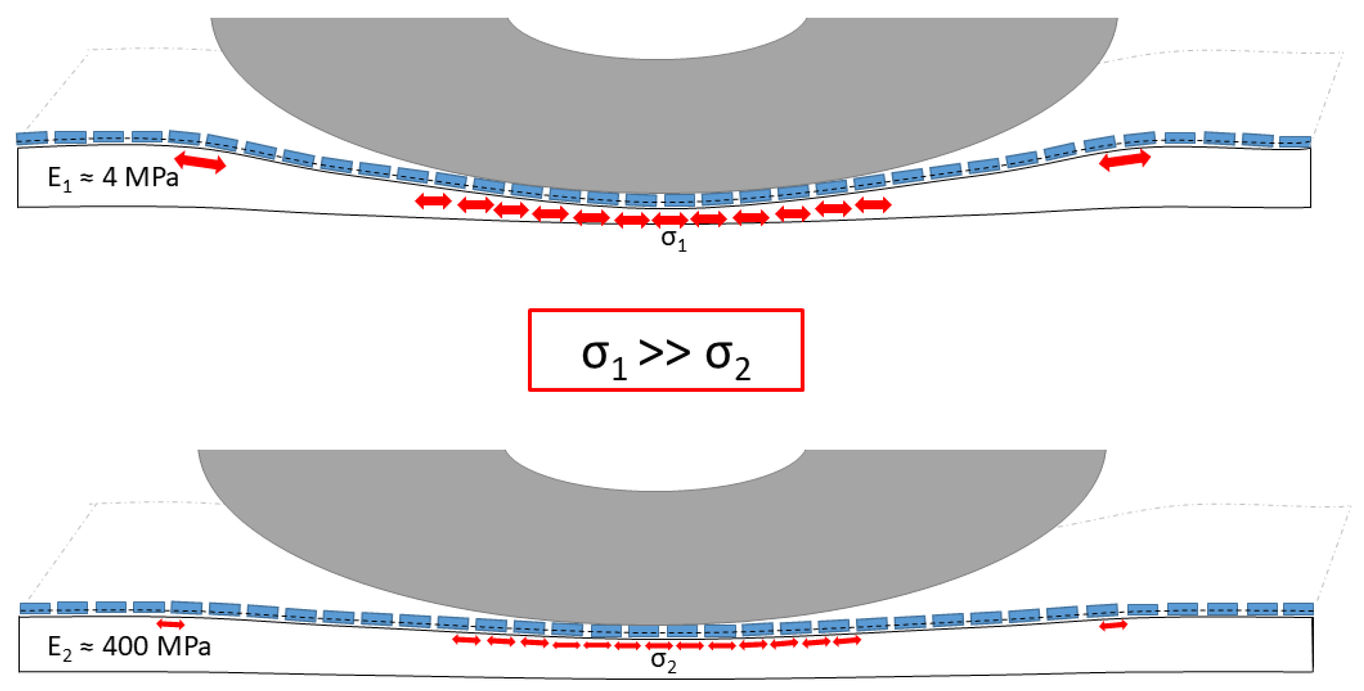 Materials 13 01235 g001 Materials 13 01235 g001