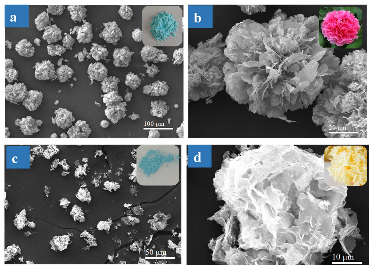 Materials 13 01241 g001