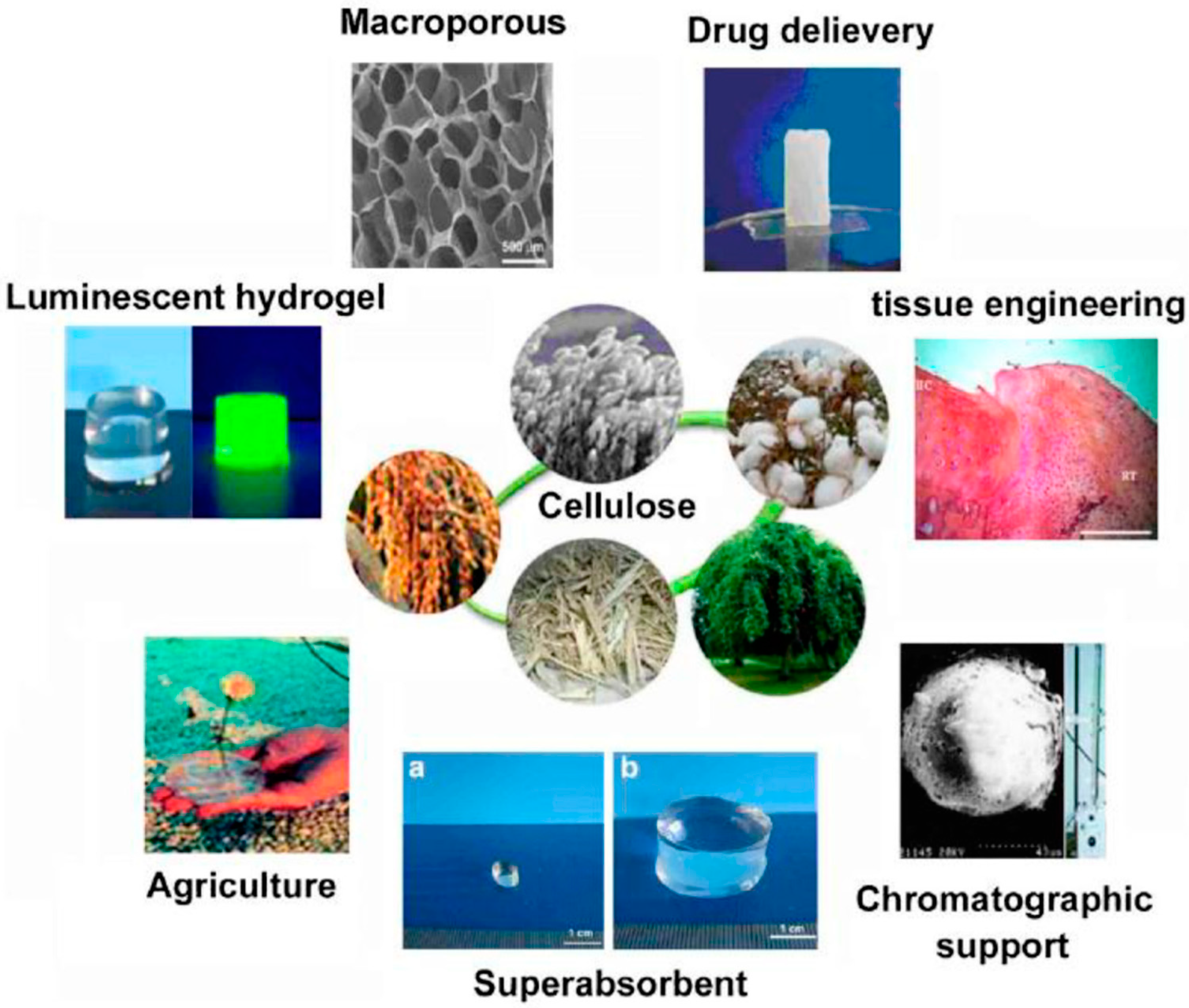 Materials 13 01245 g002 Materials 13 01245 g002