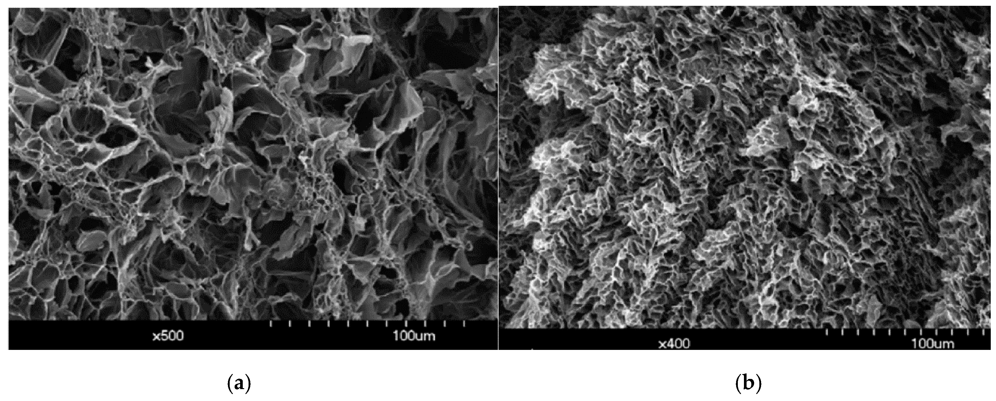 Materials 13 01245 g003 Materials 13 01245 g003