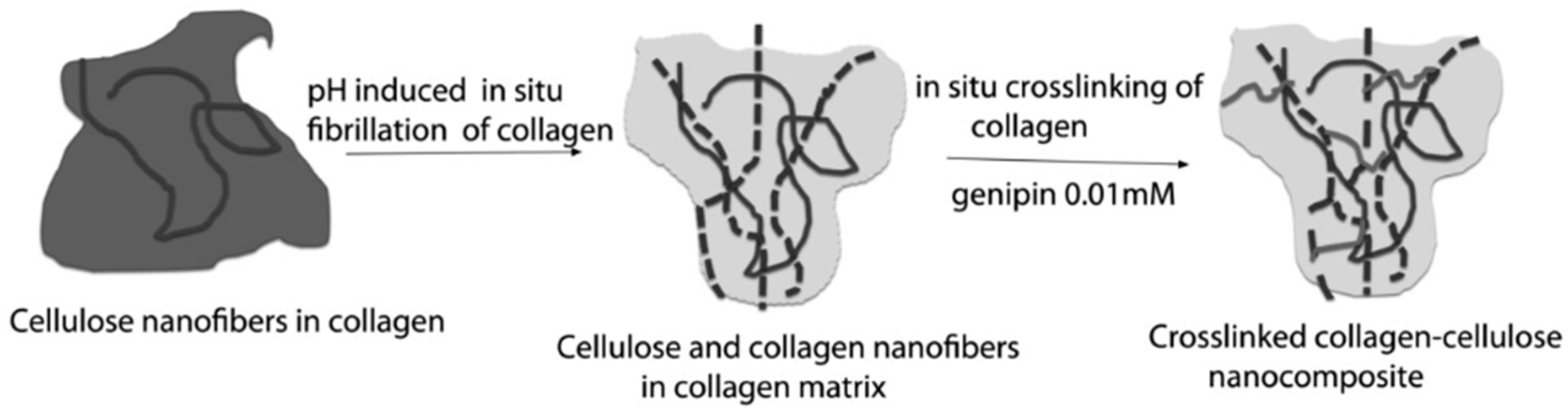 Materials 13 01245 g004 Materials 13 01245 g004