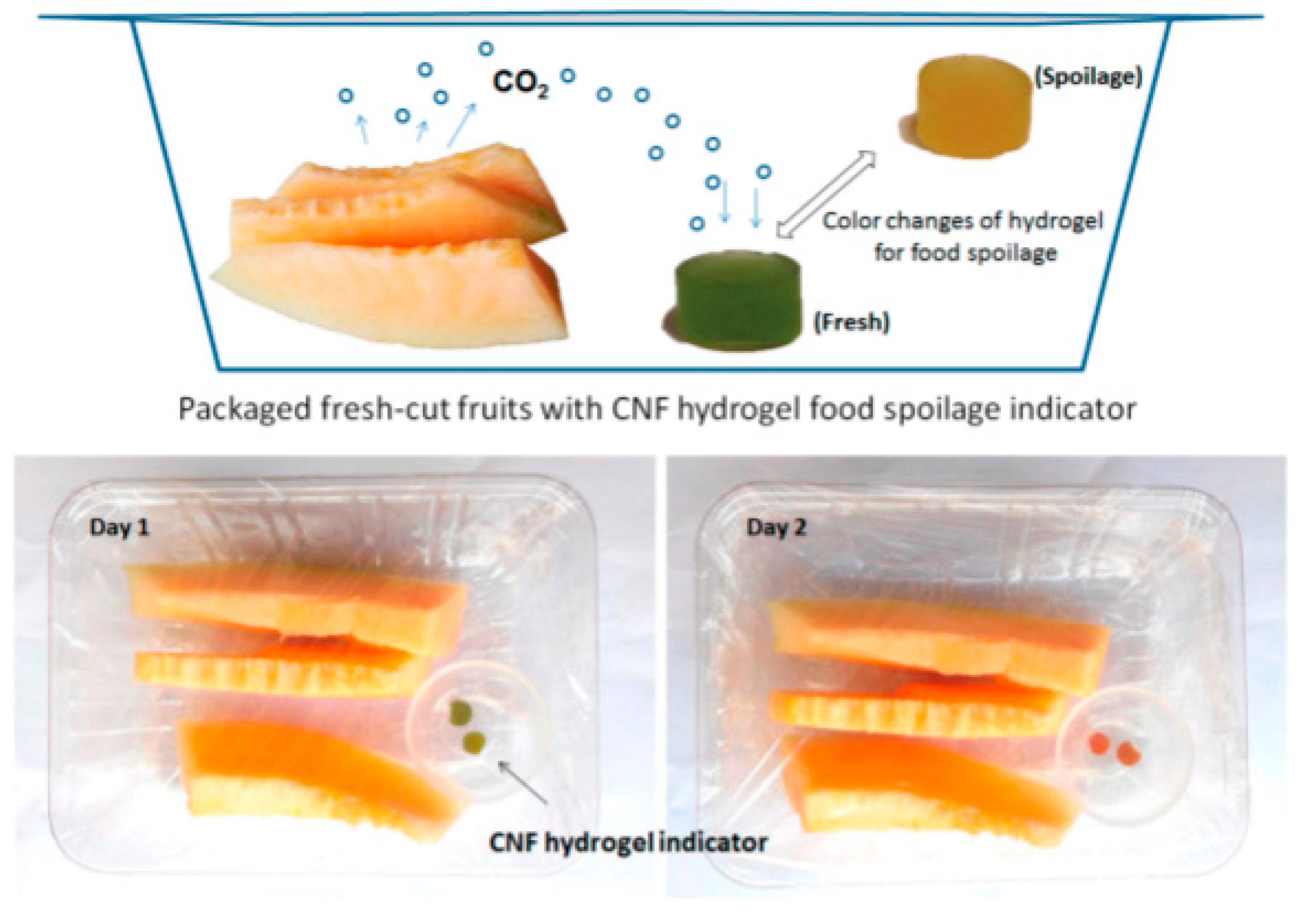 Materials 13 01245 g008 Materials 13 01245 g008