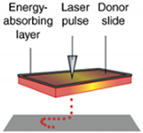 Materials 13 01245 i003 Materials 13 01245 i003
