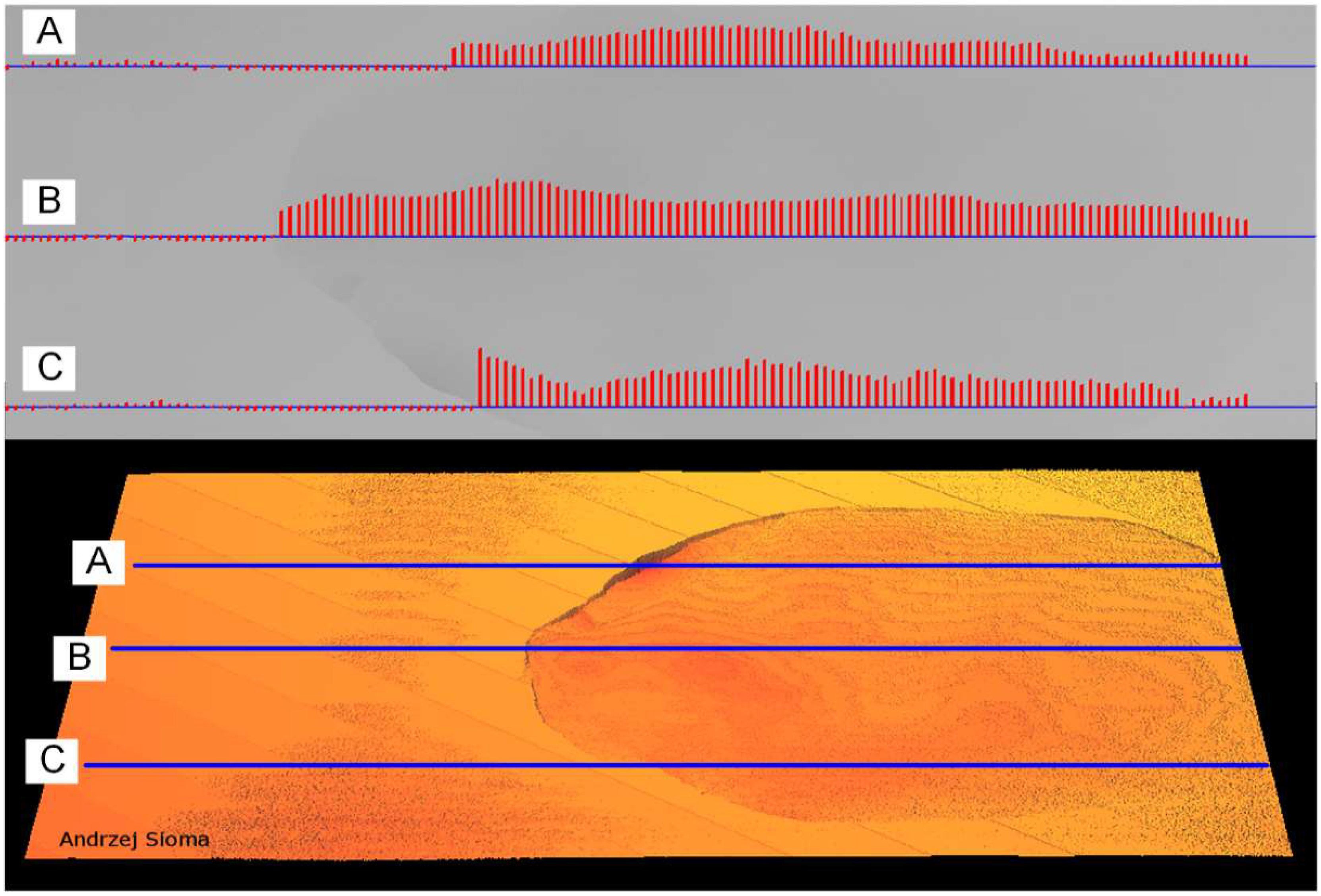 Materials 13 01250 g011 Materials 13 01250 g011