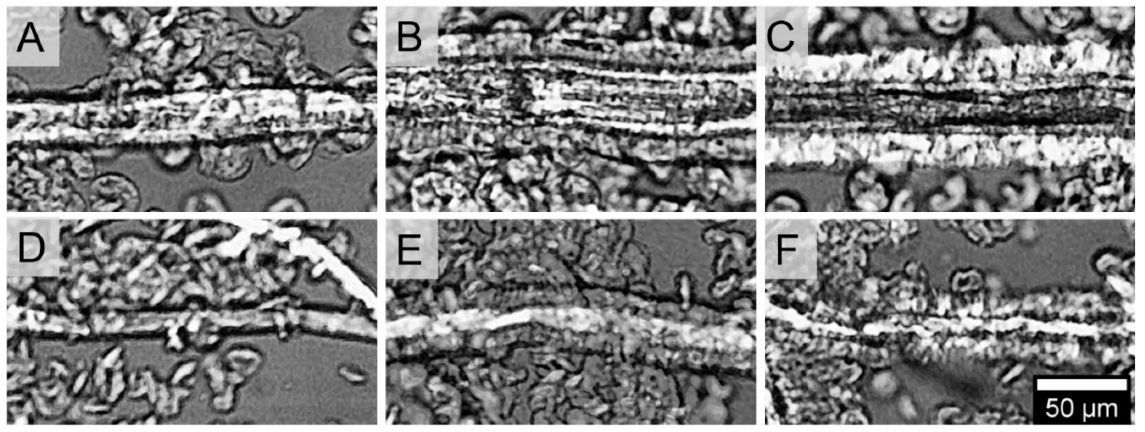 Materials 13 01259 g001