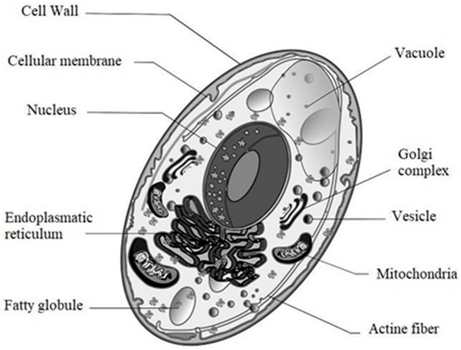 Materials 13 01263 g001