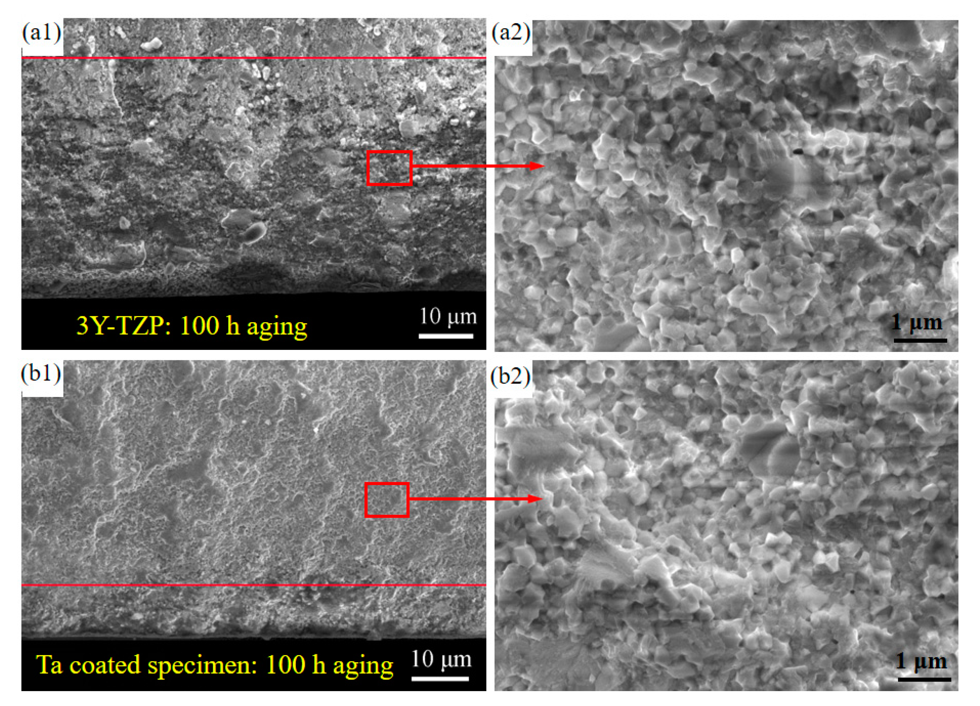 Materials 13 01265 g007 Materials 13 01265 g007