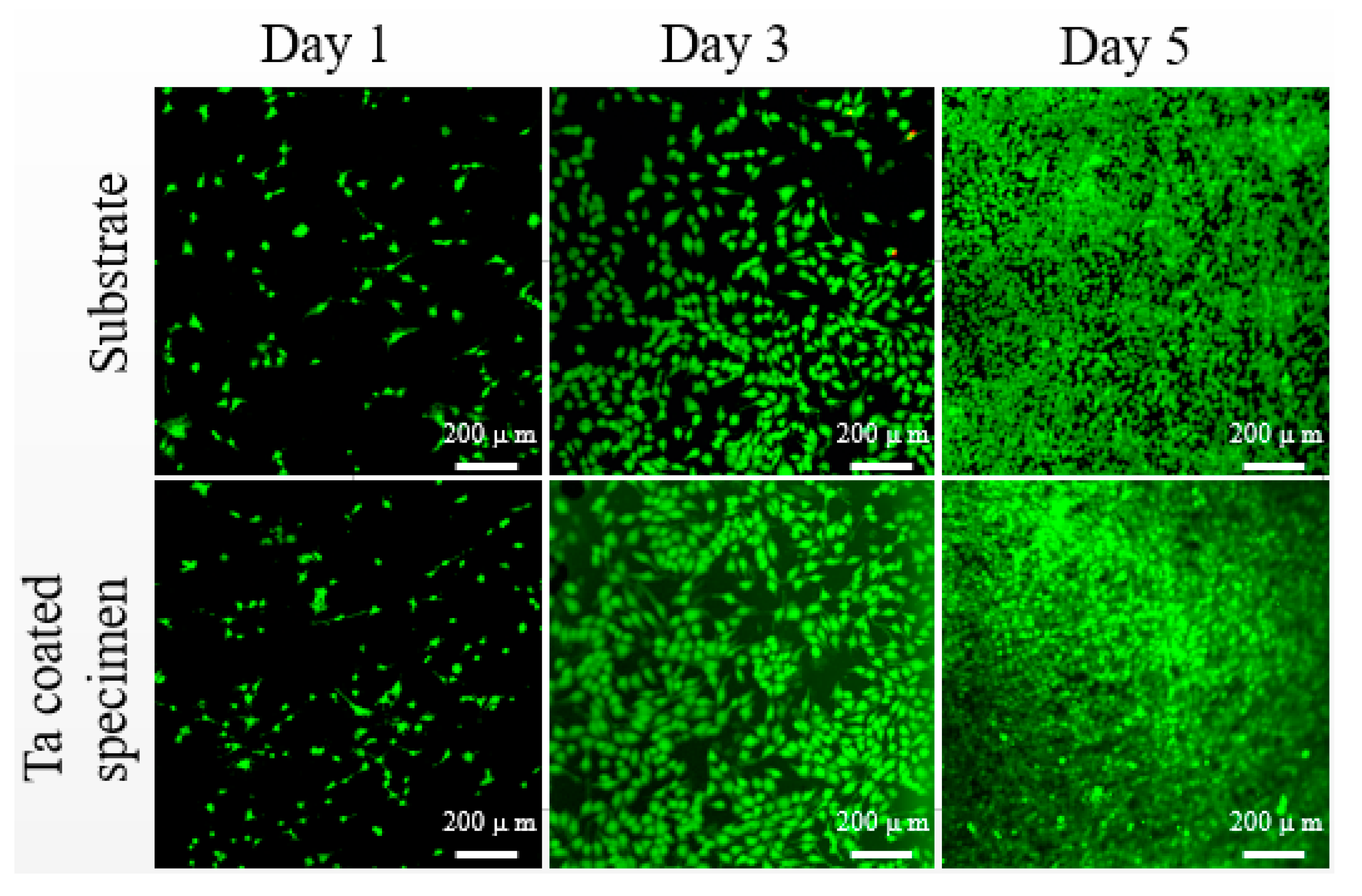 Materials 13 01265 g008 Materials 13 01265 g008