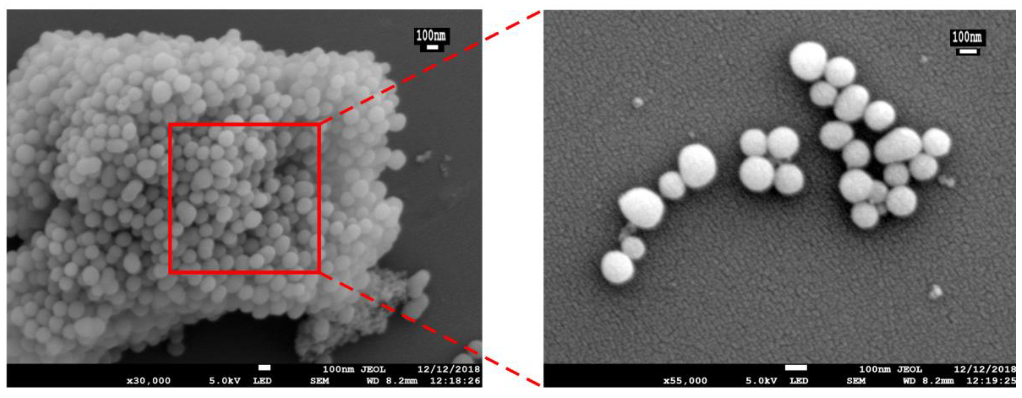 Materials 13 01279 g002