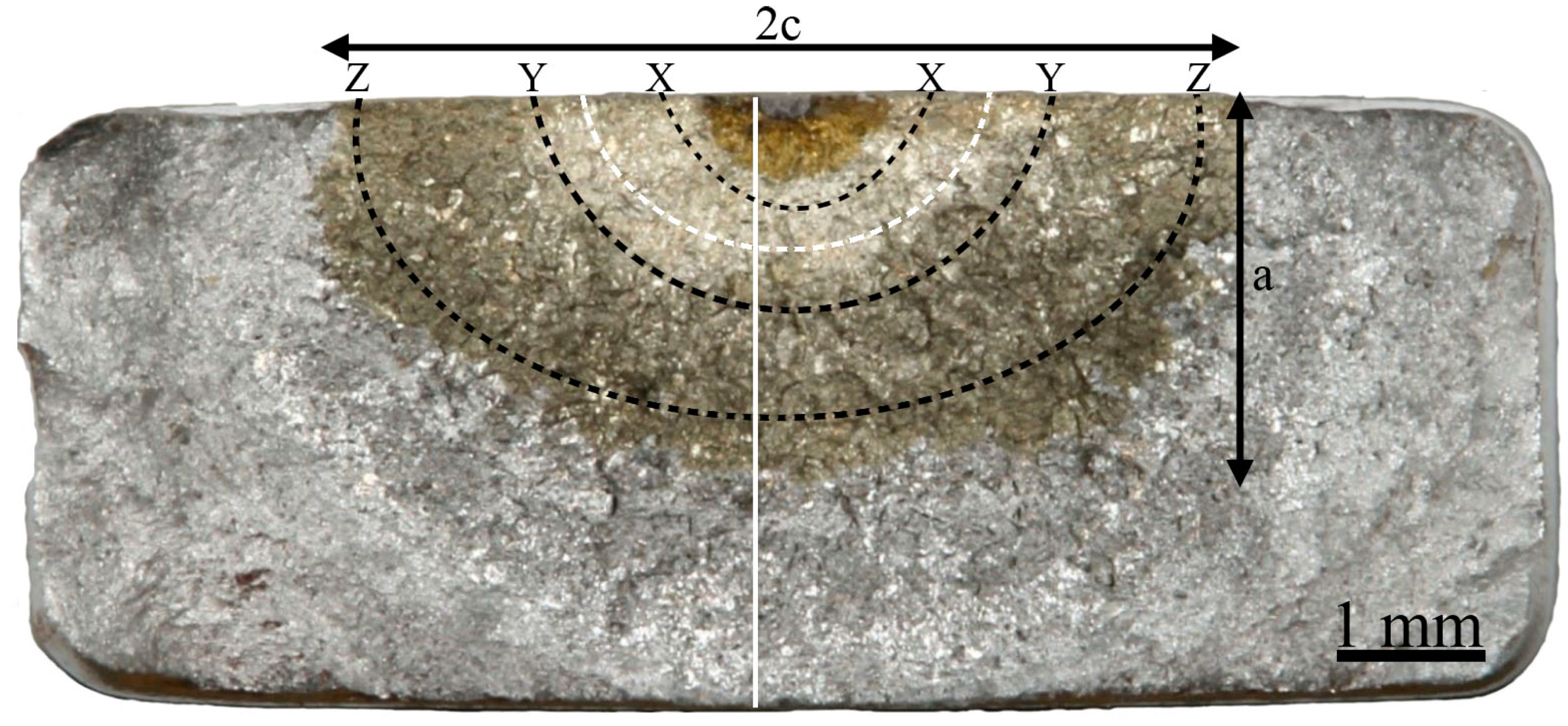 Materials 13 01287 g006