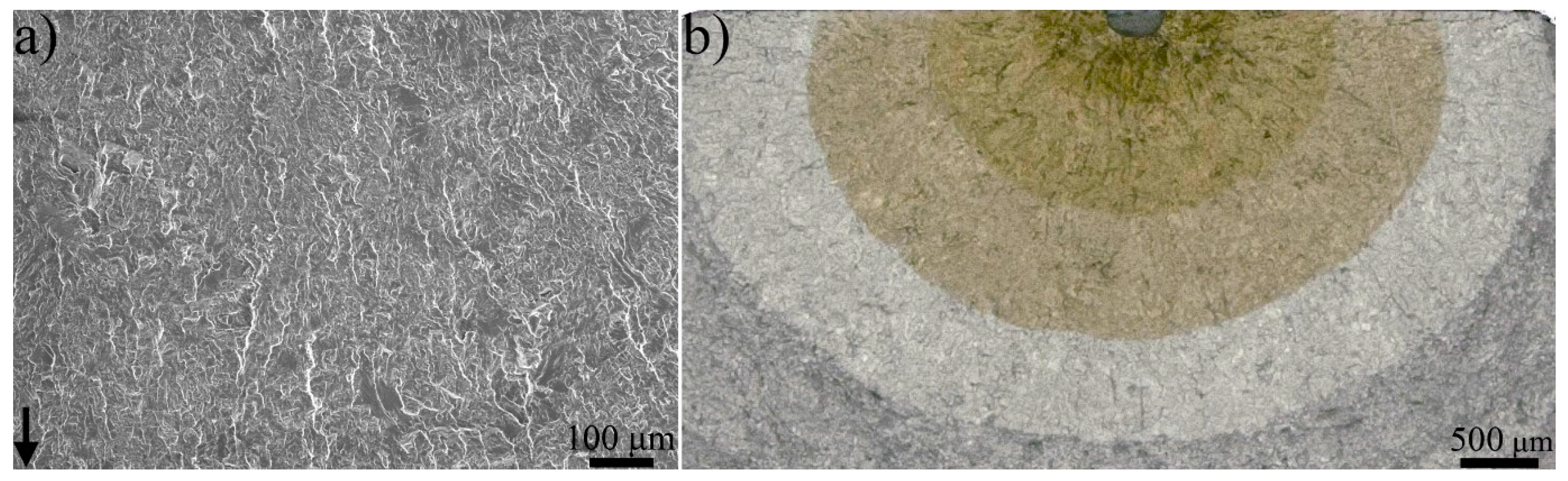 Materials 13 01287 g008