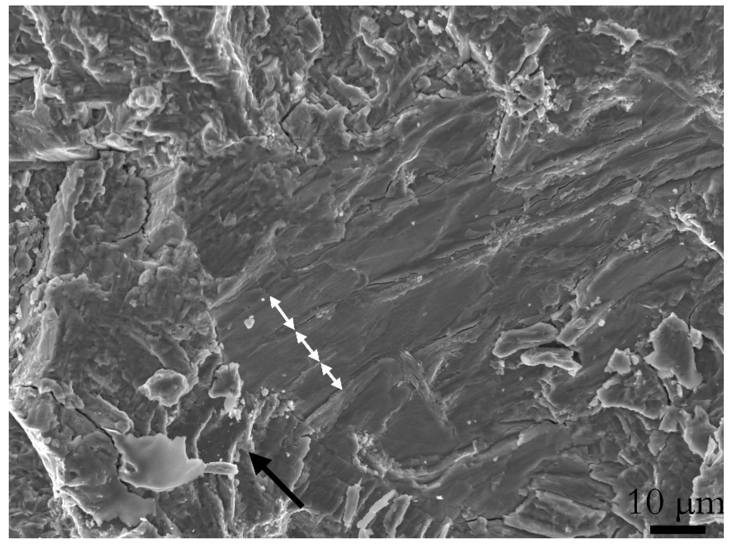 Materials 13 01287 g010