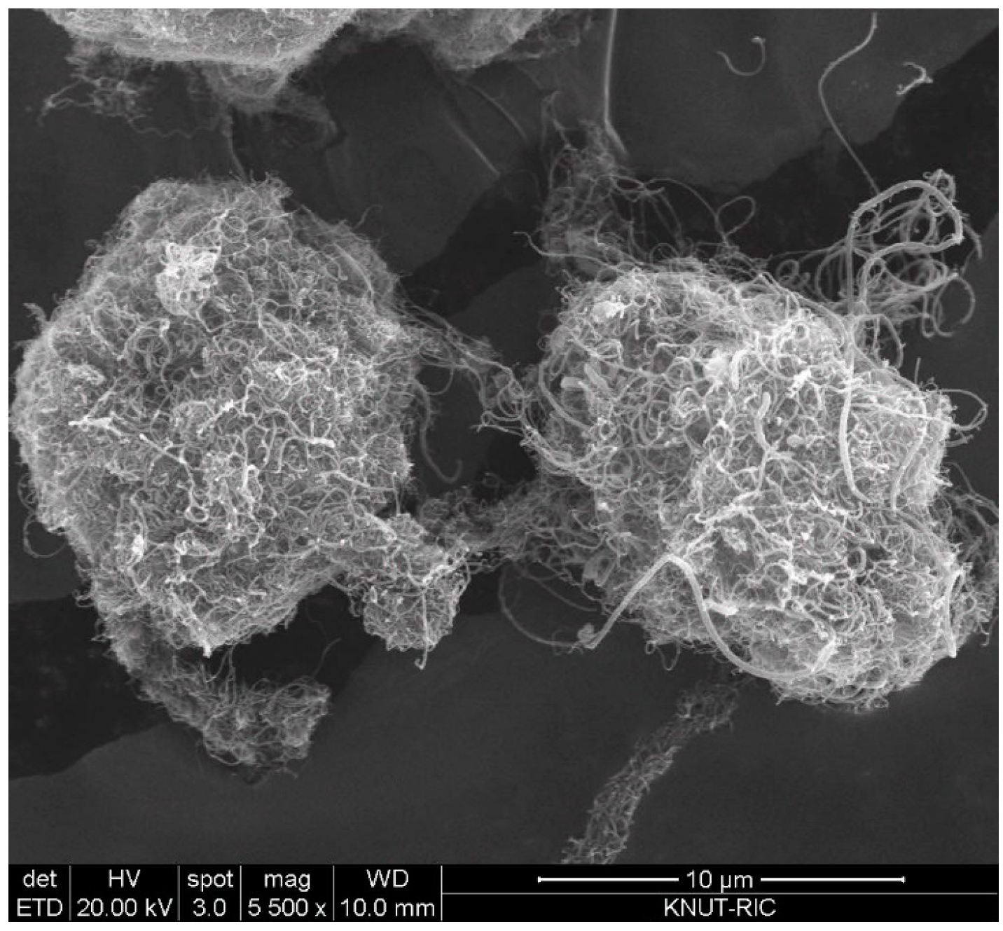 Materials 13 01289 g001