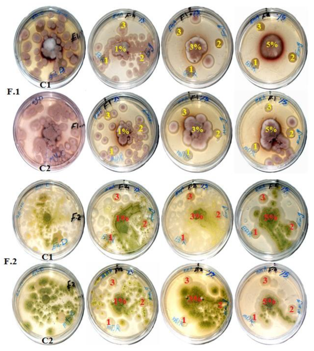 Materials 13 01292 g002