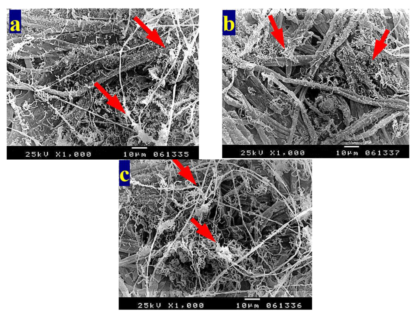 Materials 13 01292 g003