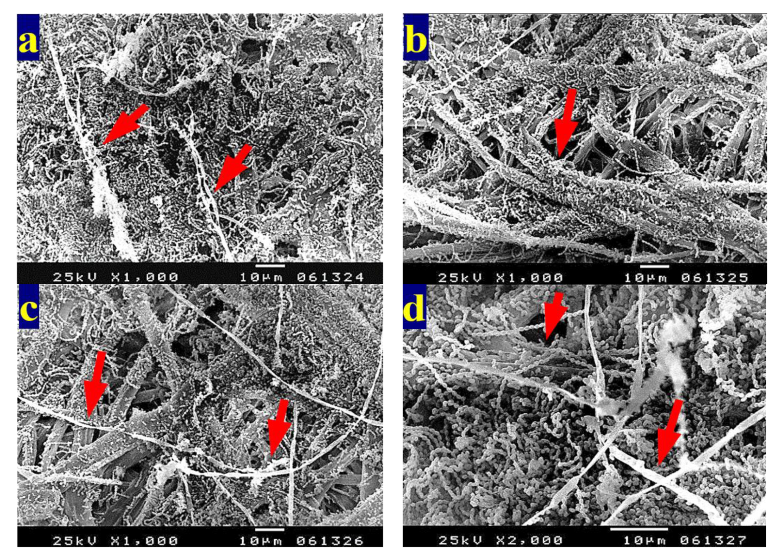 Materials 13 01292 g004