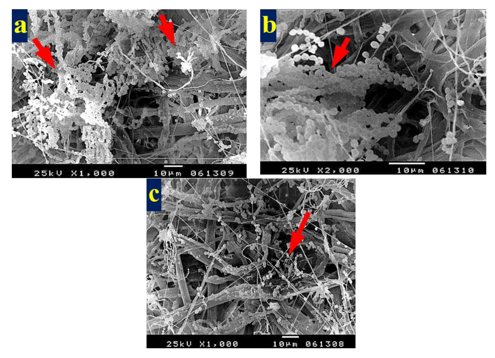 Materials 13 01292 g005