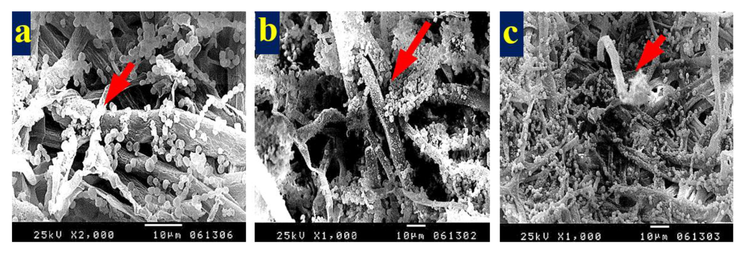 Materials 13 01292 g006a