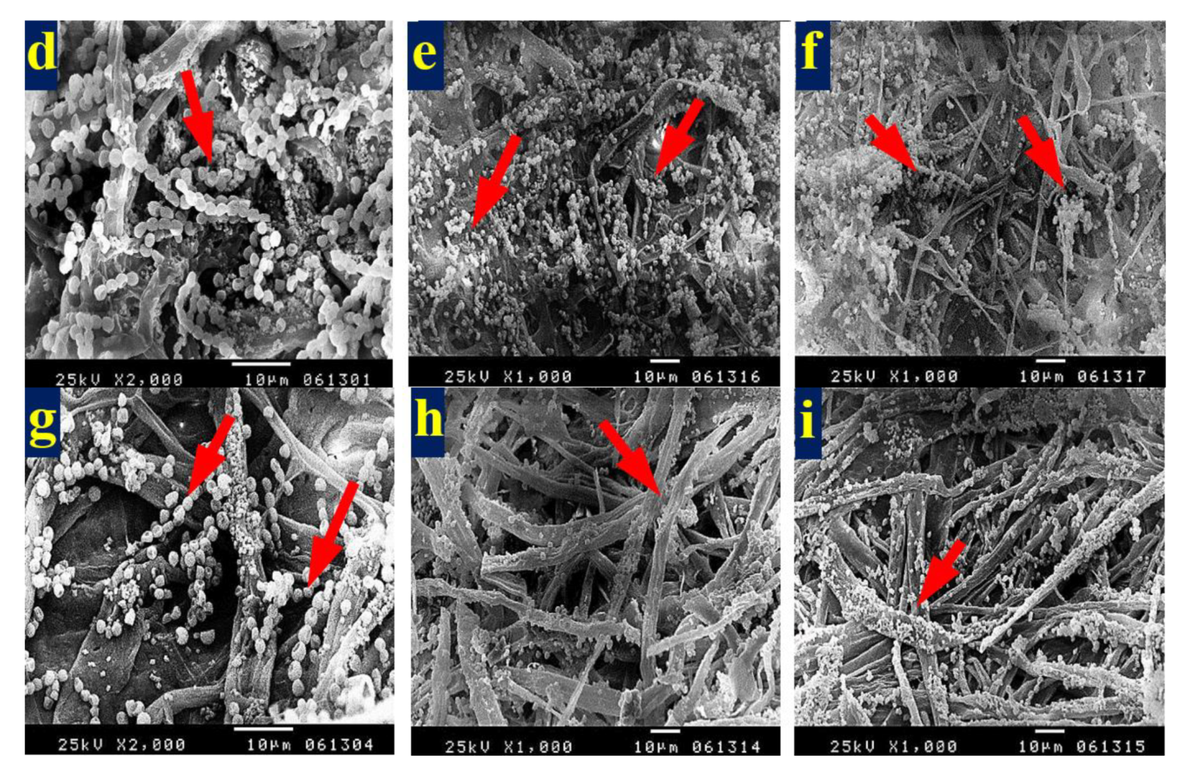 Materials 13 01292 g006b
