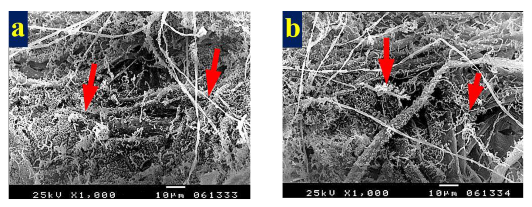 Materials 13 01292 g007a