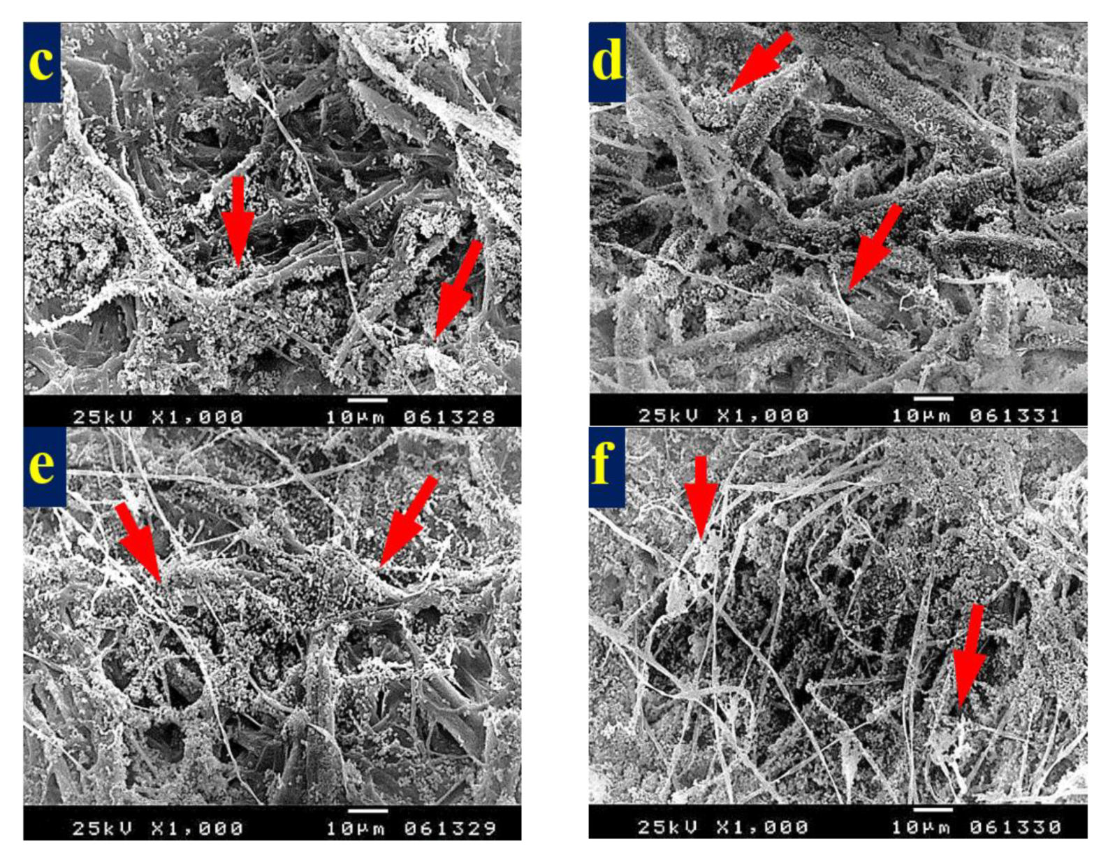 Materials 13 01292 g007b