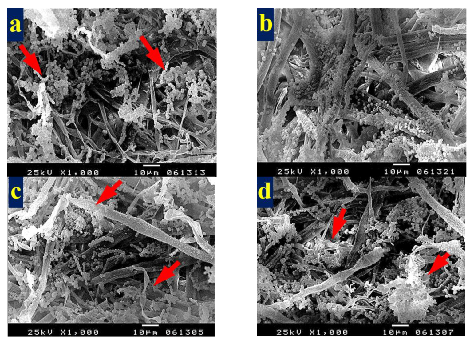 Materials 13 01292 g008a