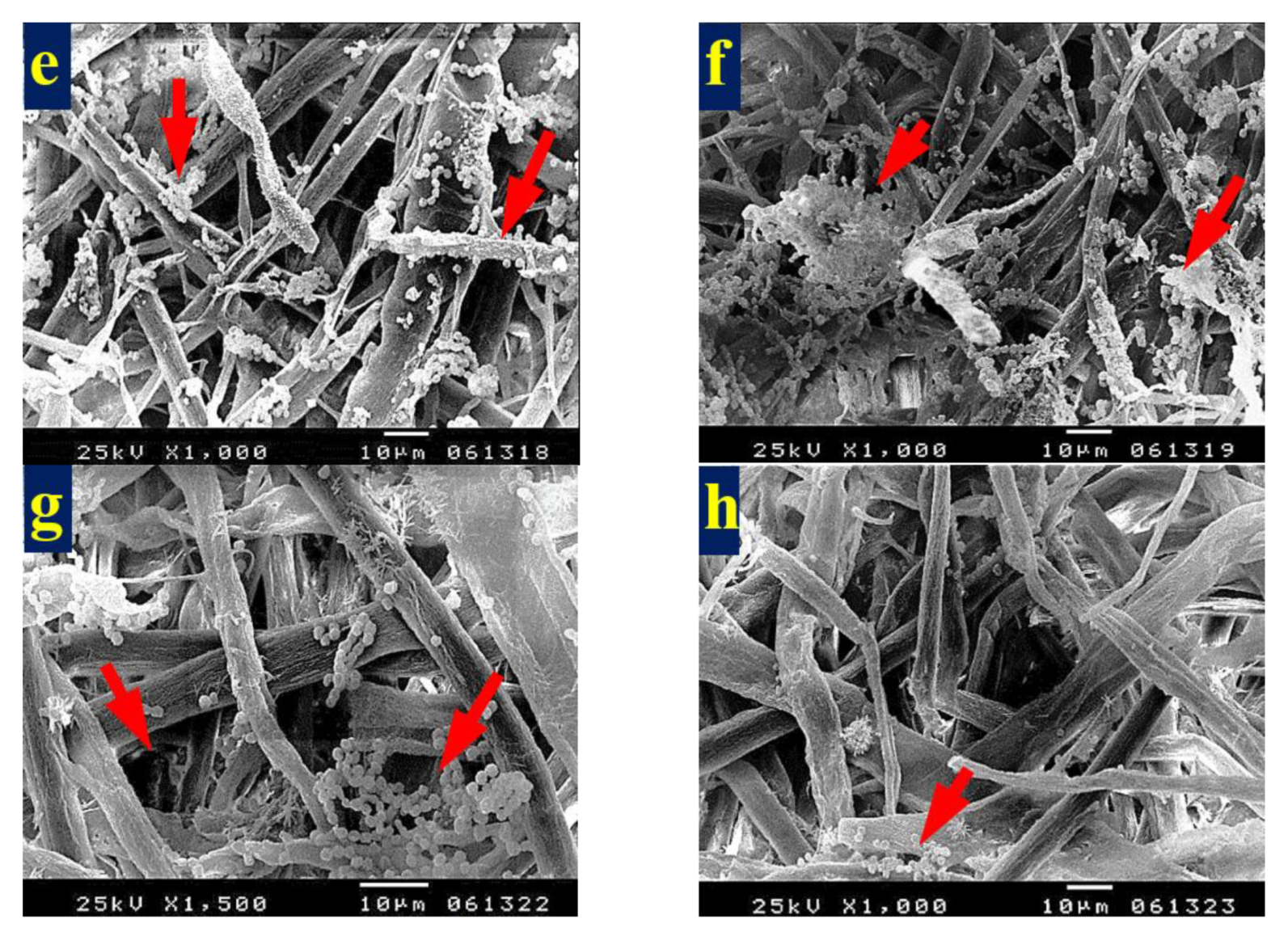 Materials 13 01292 g008b