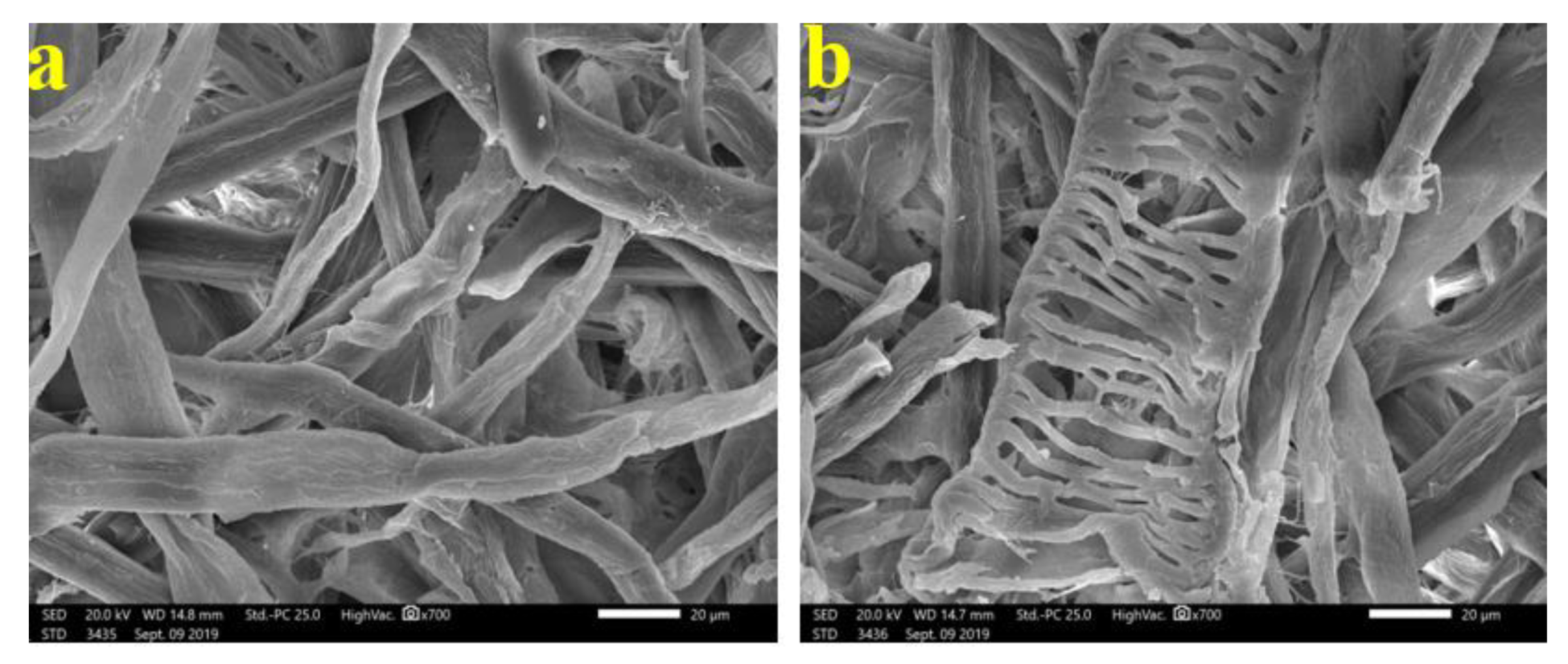 Materials 13 01292 g010