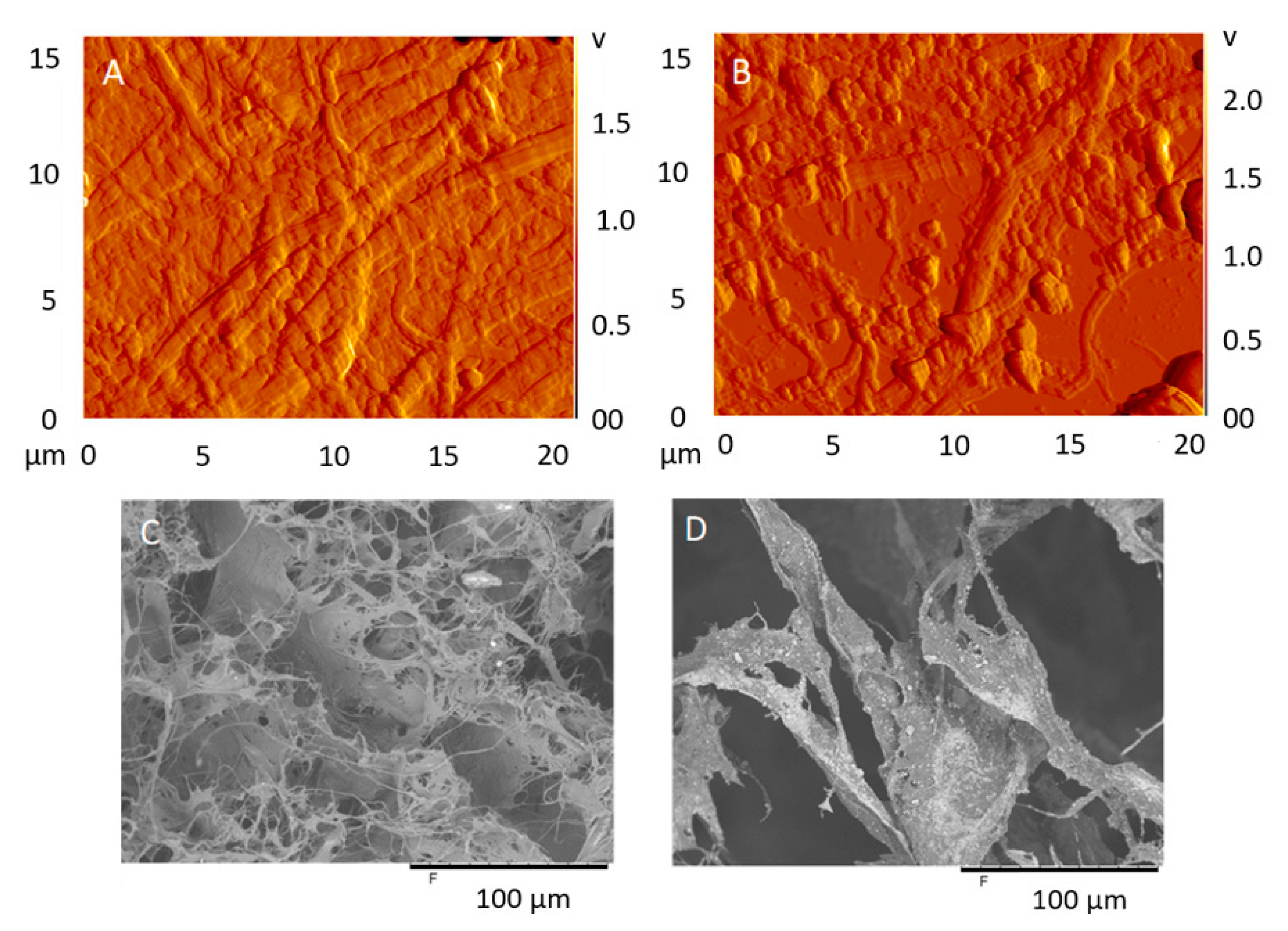 Materials 13 01303 g003