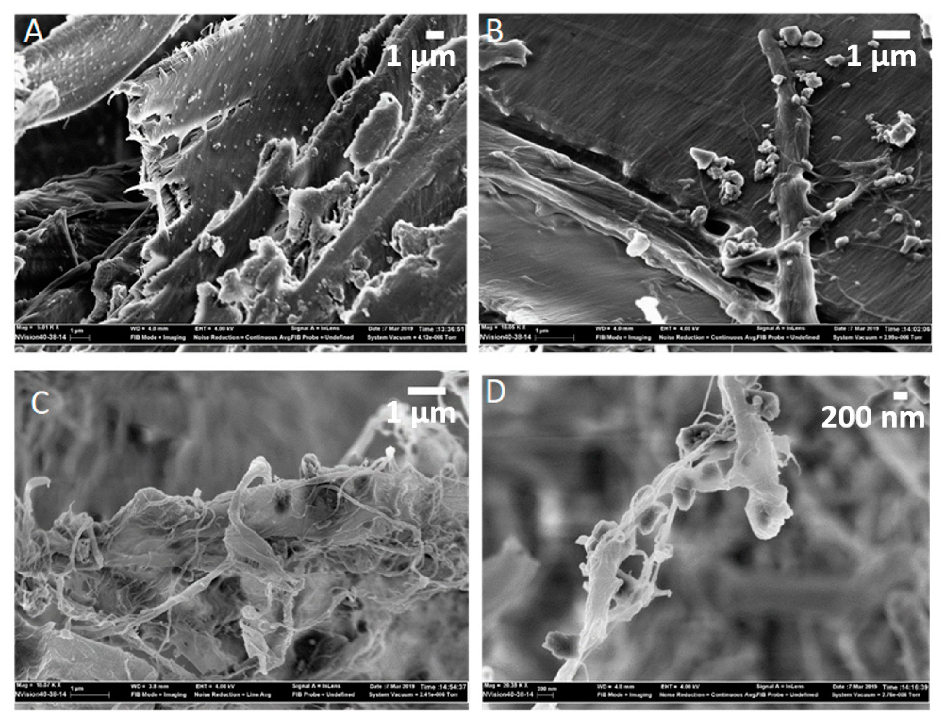 Materials 13 01303 g007