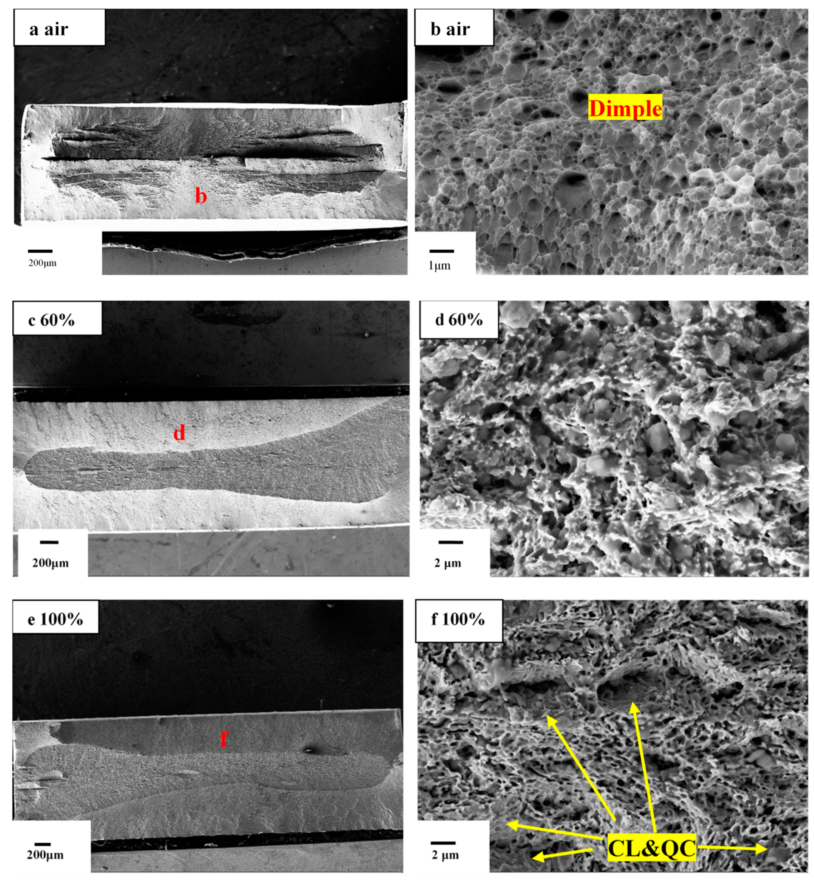 Materials 13 01304 g006a