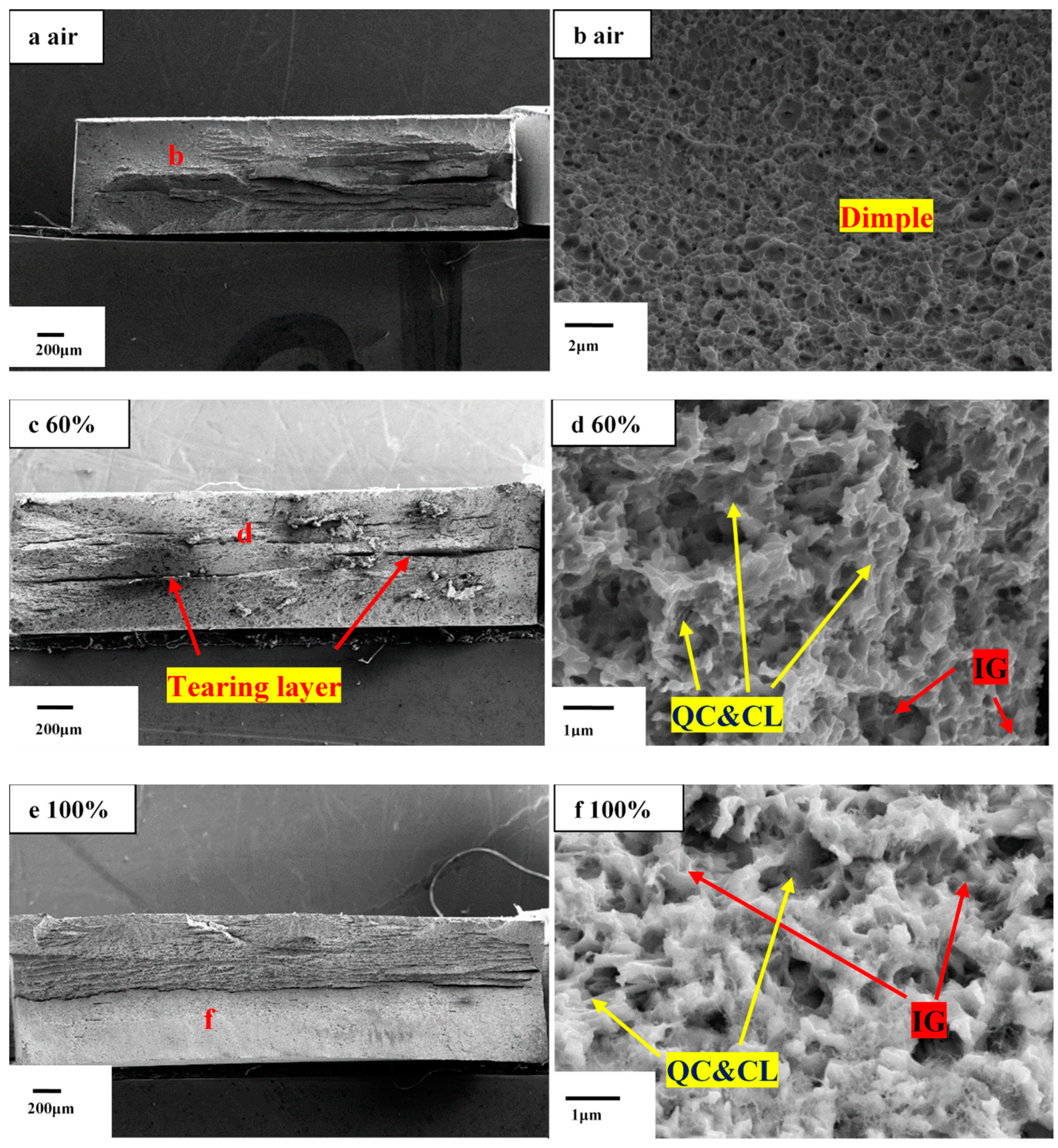 Materials 13 01304 g010a
