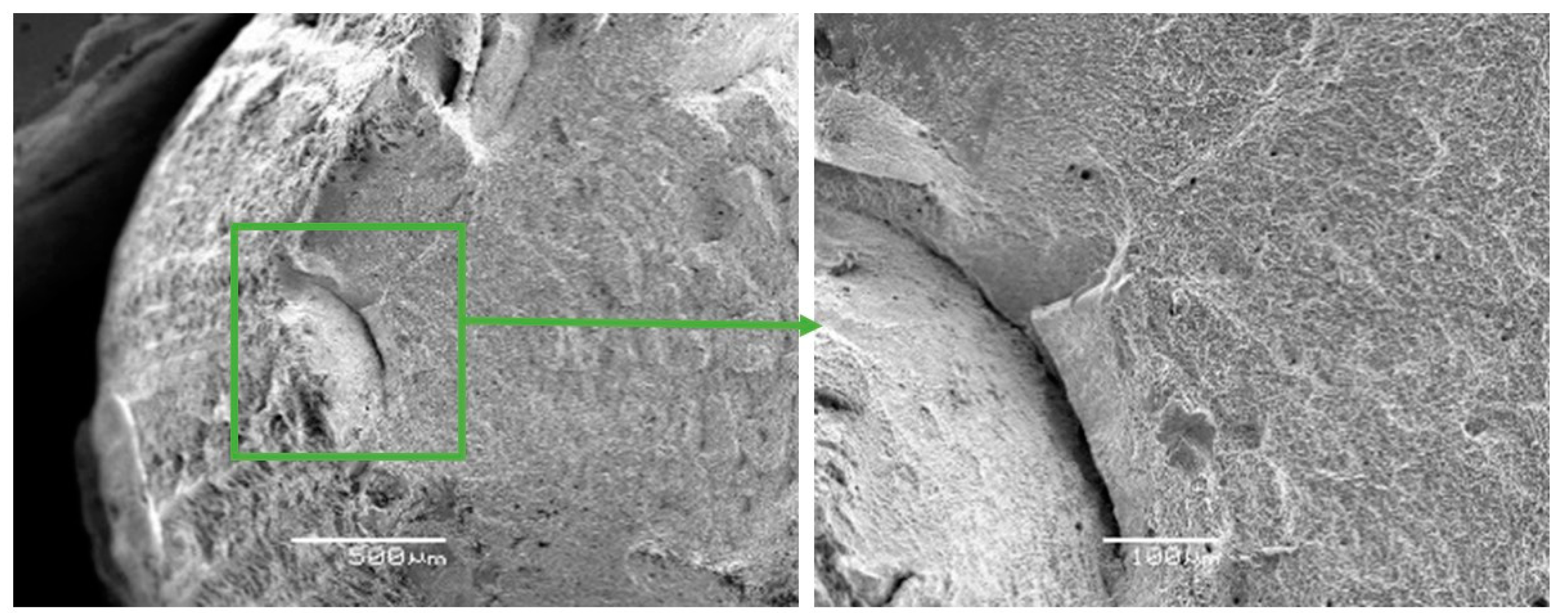 Materials 13 01306 g006