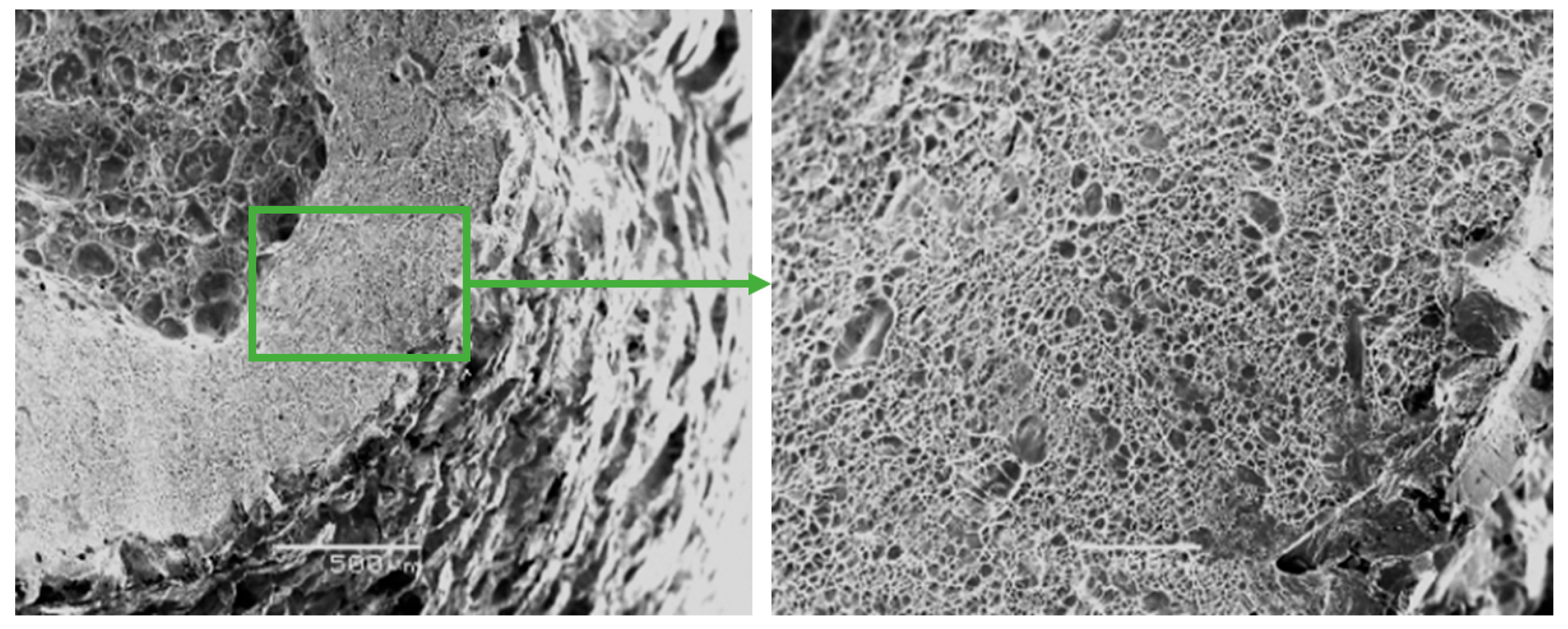 Materials 13 01306 g007