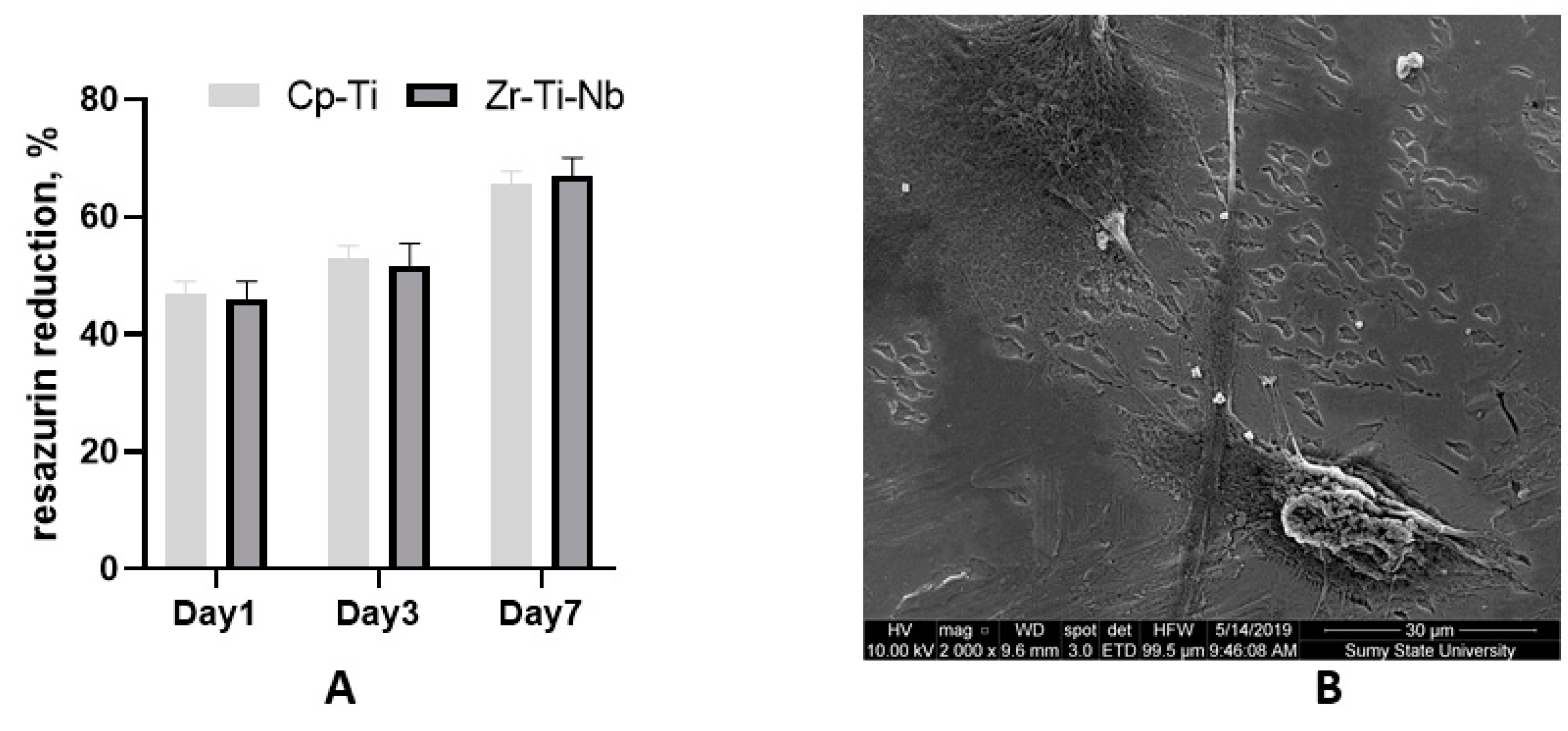 Materials 13 01306 g008