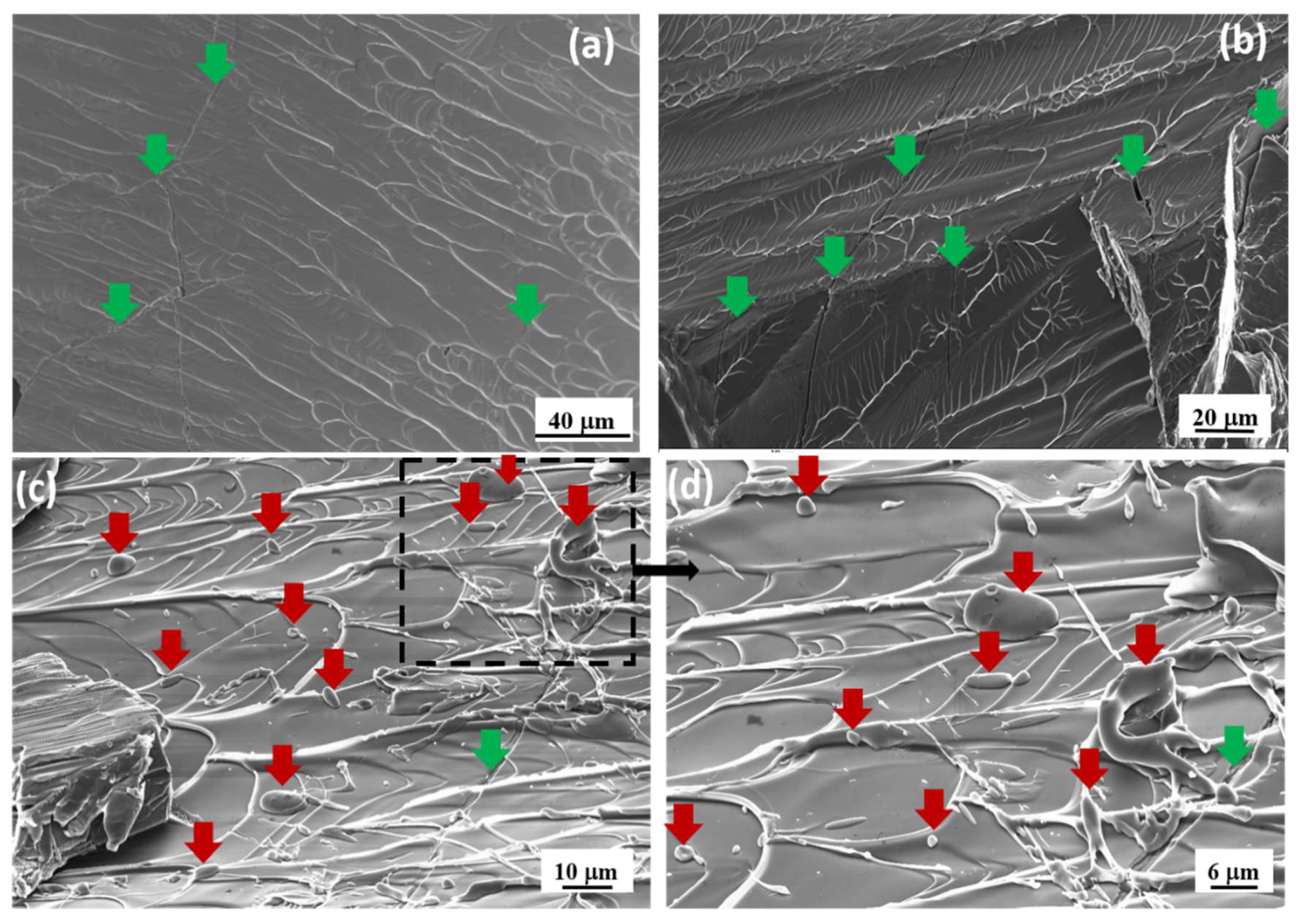 Materials 13 01319 g004