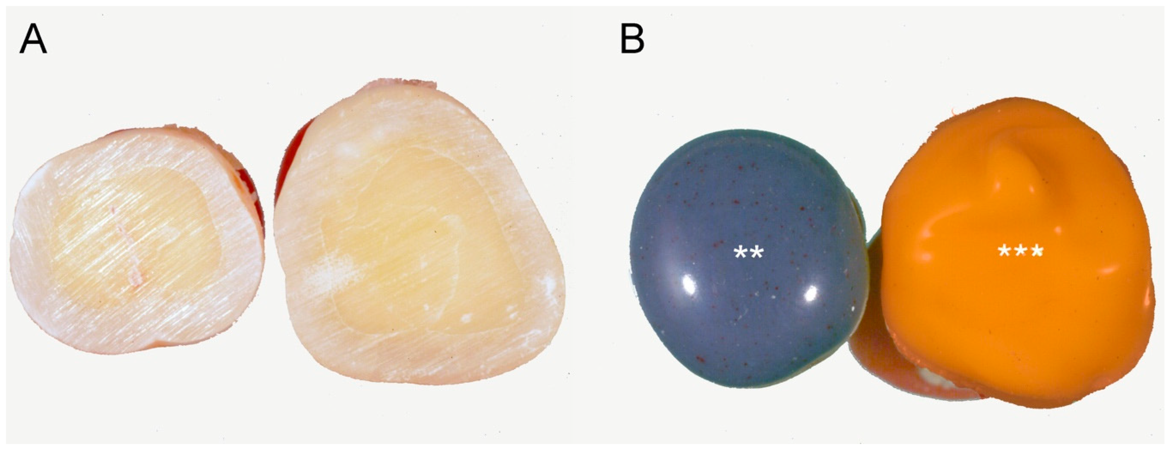 Materials 13 01321 g001