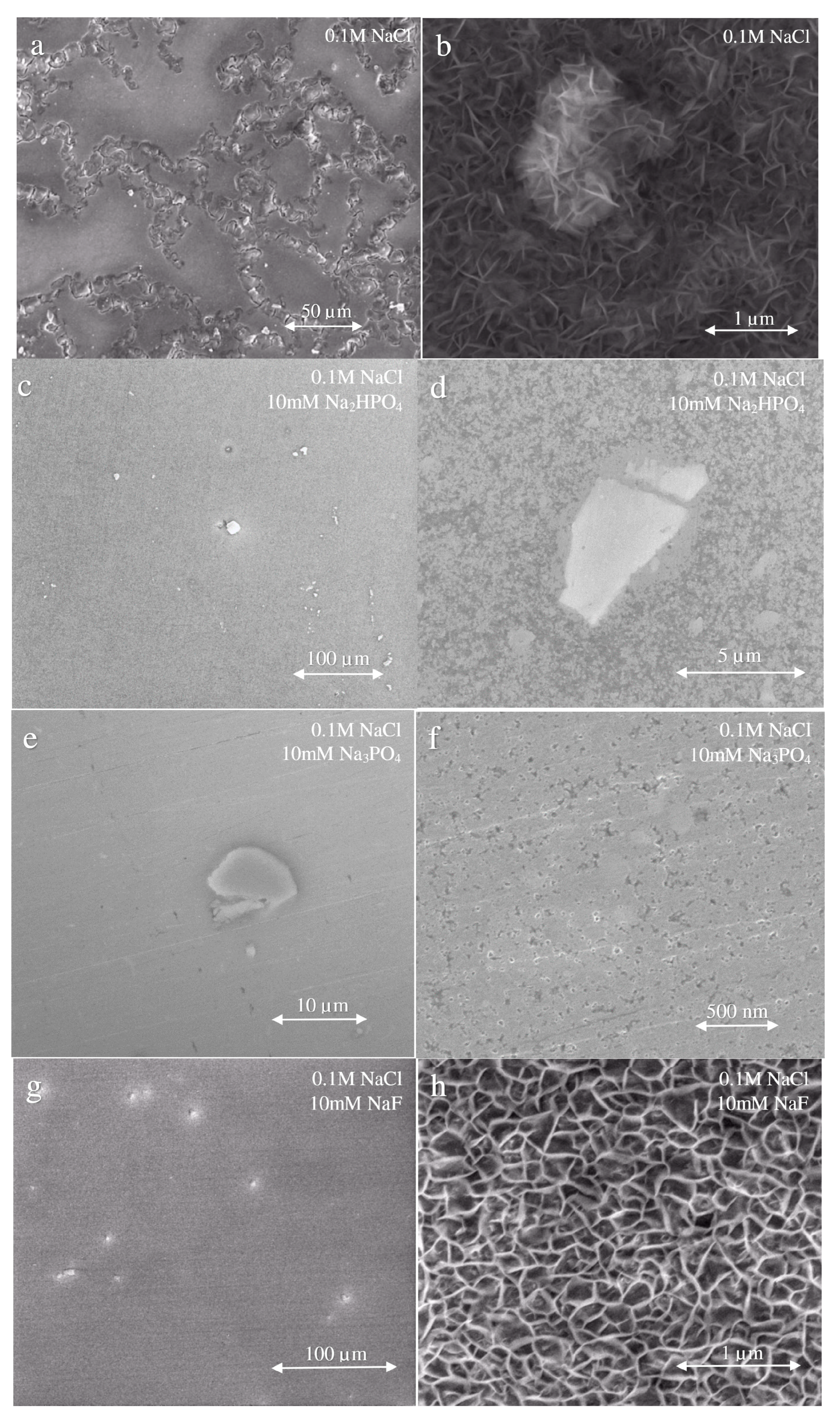 Materials 13 01325 g004a