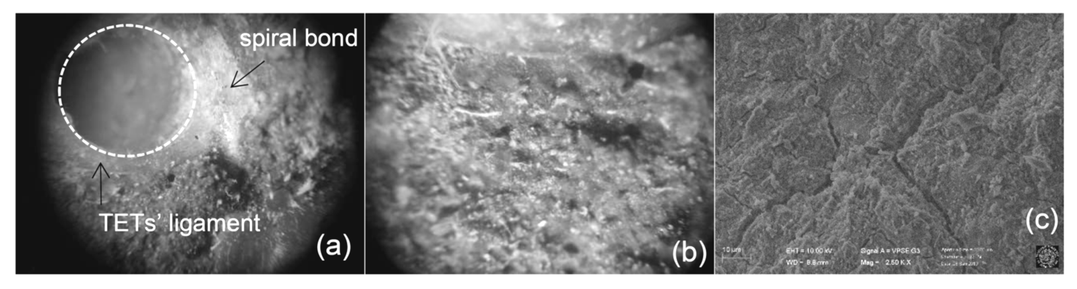 Materials 13 01328 g014