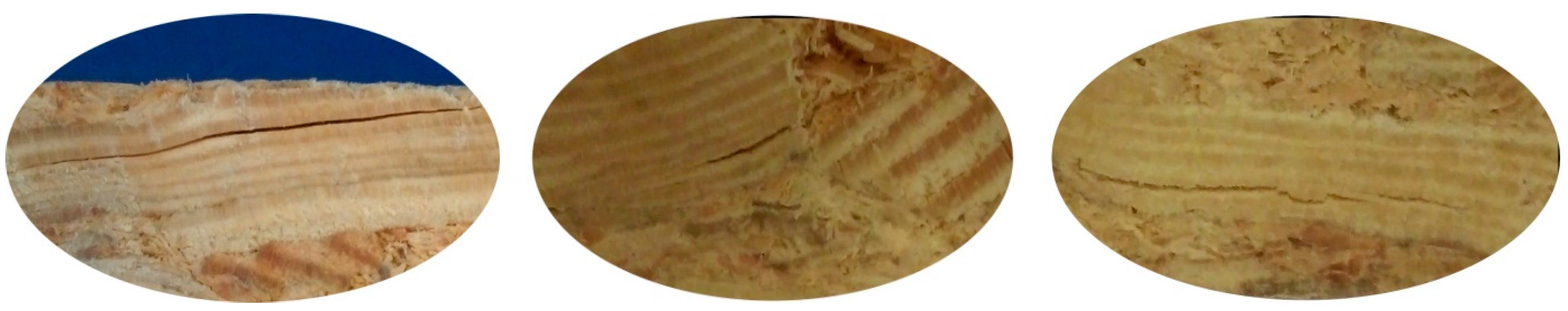 Materials 13 01329 g005 Materials 13 01329 g005