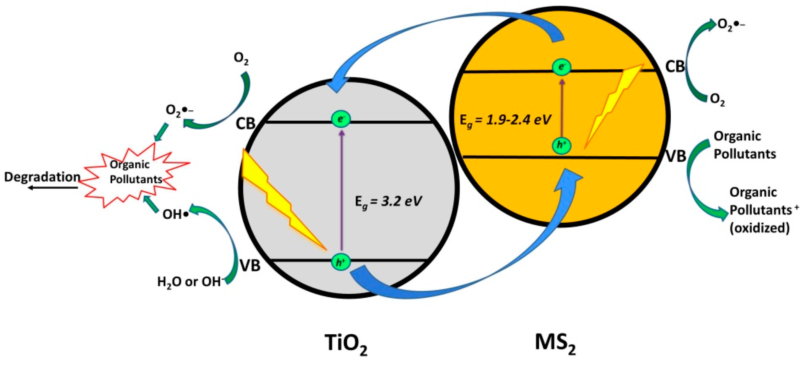 Materials 13 01338 g007