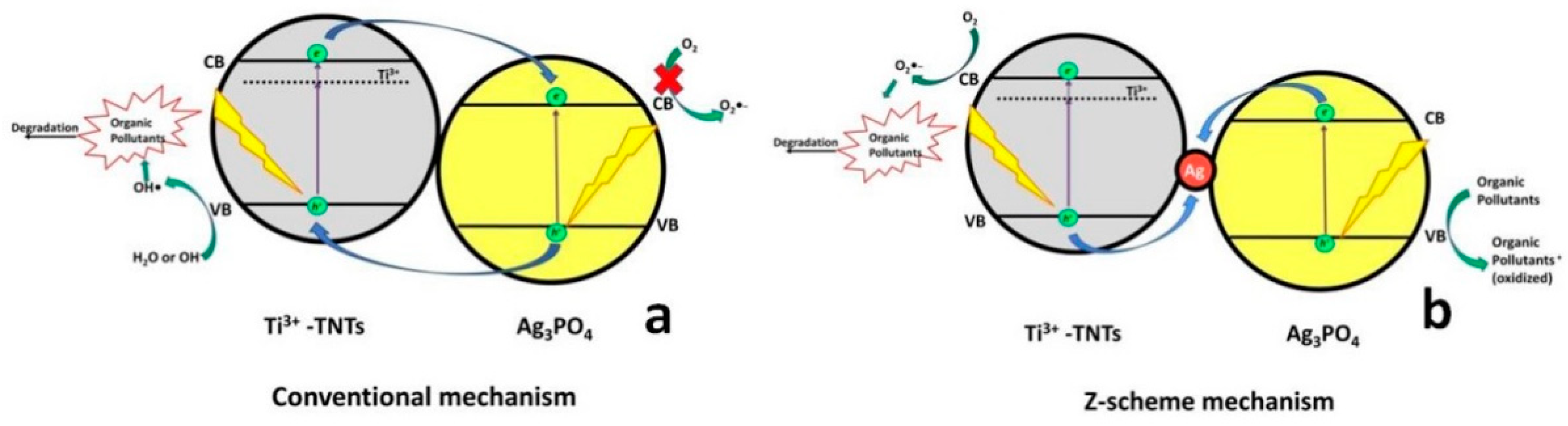 Materials 13 01338 g008