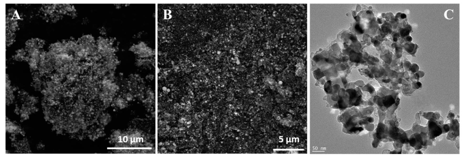 Materials 13 01349 g004