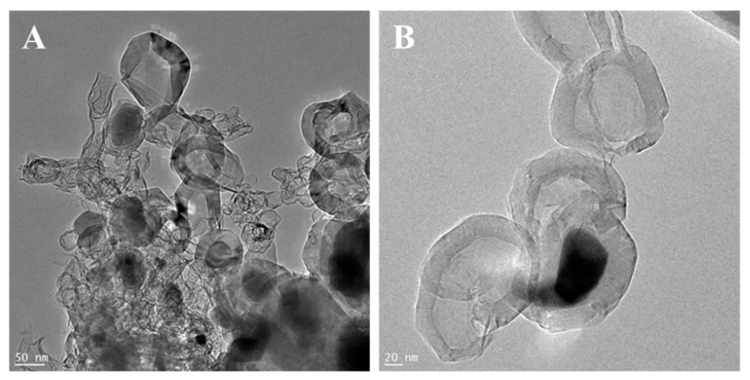 Materials 13 01349 g005